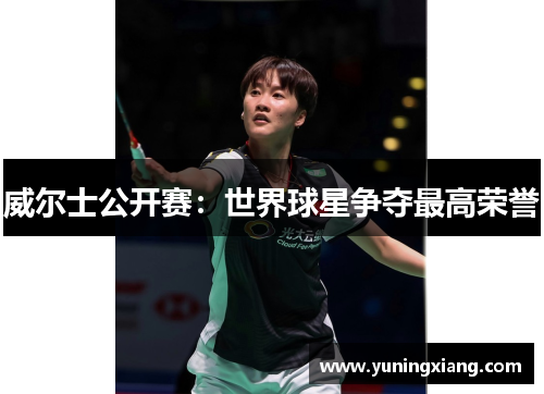 威尔士公开赛：世界球星争夺最高荣誉